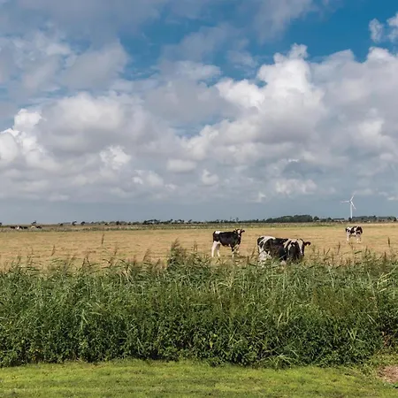 Wunderschoene Reetdachkate